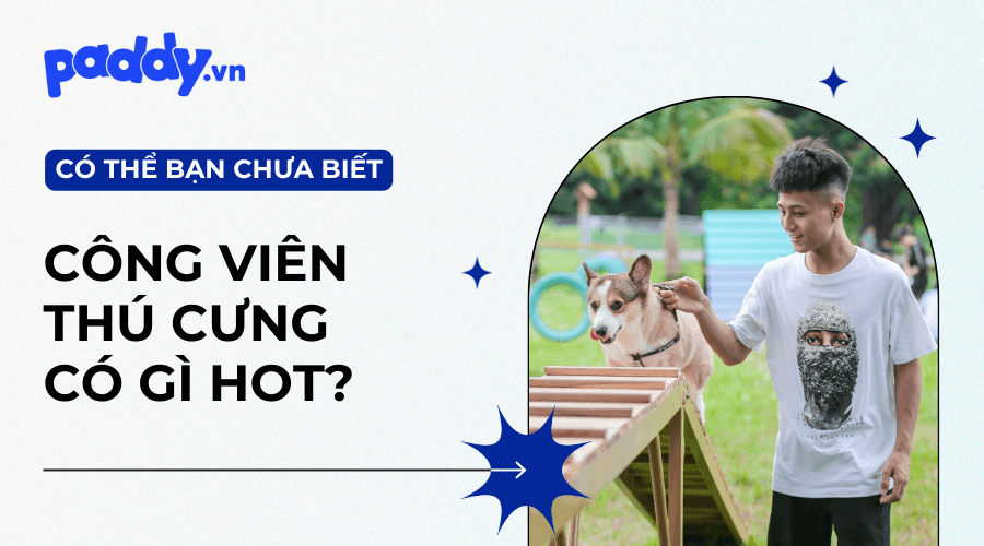 Công Viên Thú Cưng Chuyên Dụng Có Gì? - Paddy Pet Shop