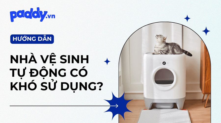Hướng Dẫn Sử dụng Nhà Vệ Sinh Tự Động Cho Mèo - Paddy Pet Shop