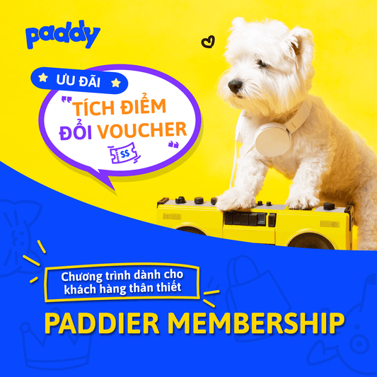THÔNG BÁO - Thay Đổi Chương Trình Tích Điểm Thành Viên Paddier Membership Mới - Paddy Pet Shop