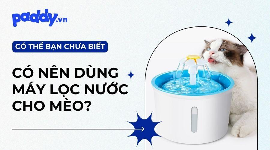 Máy lọc nước cho mèo tốt nhất thị trường - Paddy Pet Shop