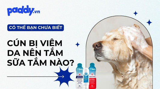 Top 10 sữa tắm viêm da cho chó mèo tốt nhất hiện nay - Paddy Pet Shop