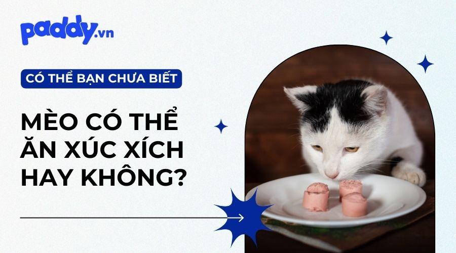 Mèo Có Thể Ăn Xúc Xích Không? - Paddy Pet Shop