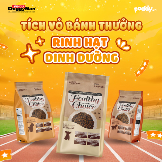 TÍCH VỎ BÁNH THƯỞNG - RINH HẠT DINH DƯỠNG