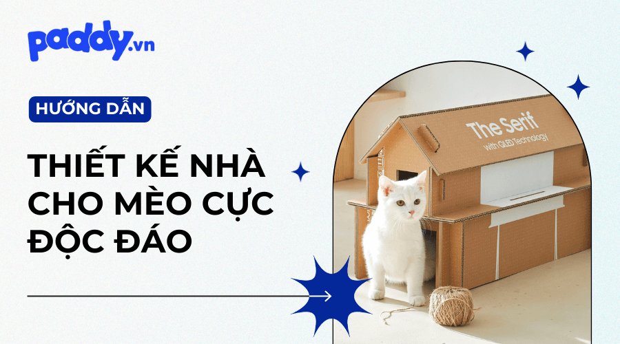 Thiết Kế Nhà Cho Mèo Cực Đẹp Mắt - Paddy Pet Shop