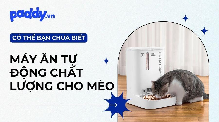Tip Lựa Chọn Máy Ăn Tự Động Cho Mèo Chất Lượng - Paddy Pet Shop