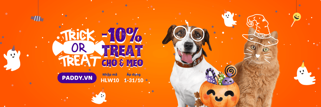 Giảm 10% snack bánh thưởng cho chó mèo - Paddy Pet Shop