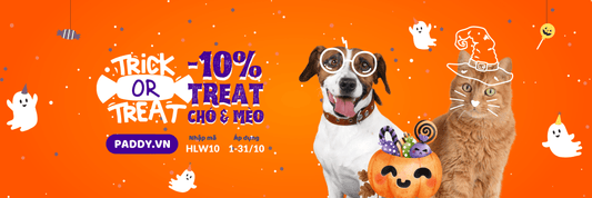 Giảm 10% snack bánh thưởng cho chó mèo - Paddy Pet Shop