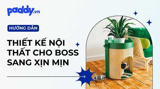Ý Tưởng Thiết Kế Nội Thất Thú Cưng - Paddy Pet Shop
