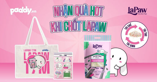 SEN NHẬN QUÀ HOT KHI CHỐT LAPAW