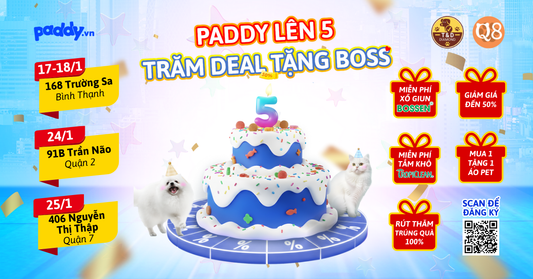 PADDY LÊN 5 - TRĂM DEAL TẶNG BOSS