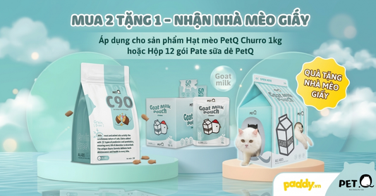 MUA 2 TẶNG 1 - RINH NHÀ MÈO GIẤY PETQ