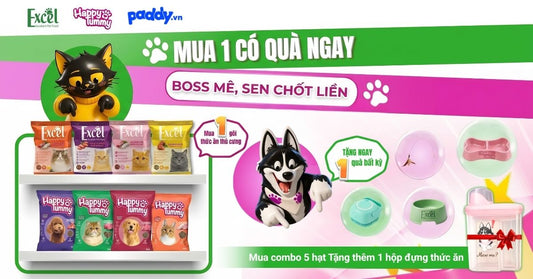 ĐẠI TIỆC CHO BOSS - NHẬN QUÀ CỰC HOT