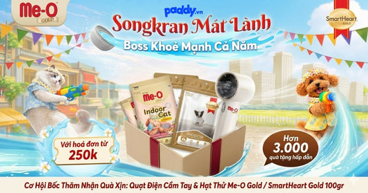 💦 THÁNG 4 MÁT LẠNH – THAM GIA LỄ HỘI SONGKRAN - SĂN QUÀ "NGẬP RĂNG" CHO BOSS 💦