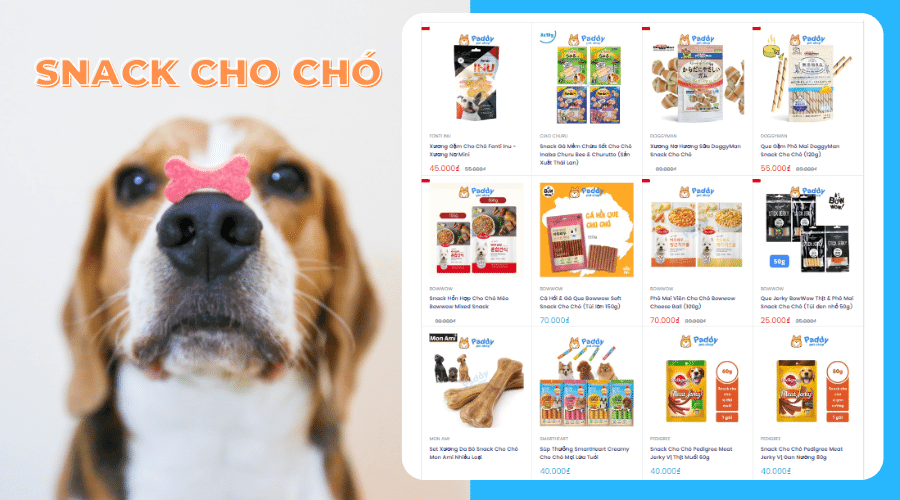 Snack cho chó là gì? Cách huấn luyện chó bằng Snack - Paddy Pet Shop