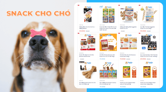 Snack cho chó là gì? Cách huấn luyện chó bằng Snack - Paddy Pet Shop