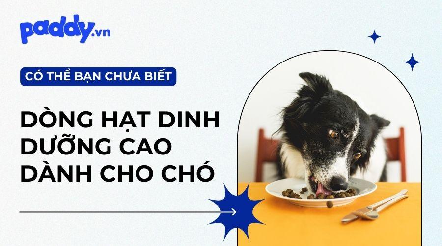 Các Loại Hạt Cao Cấp Cho Chó - Paddy Pet Shop