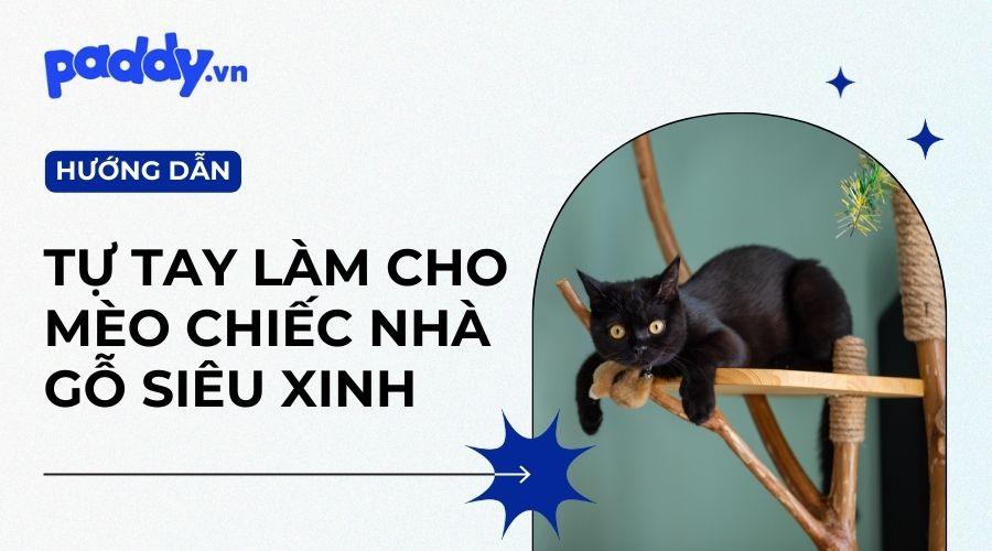 Cách Làm Nhà Gỗ Cho Mèo Đơn Giản - Paddy Pet Shop