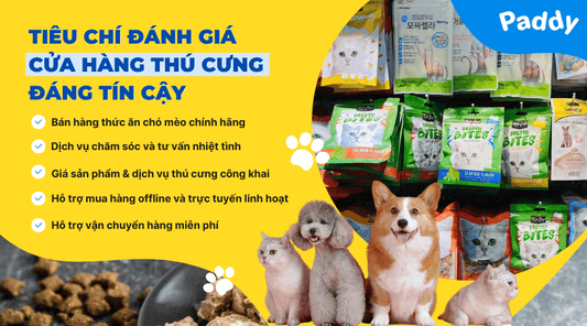 Cách lựa chọn cửa hàng thú cưng uy tín tại Tp.HCM - Paddy Pet Shop