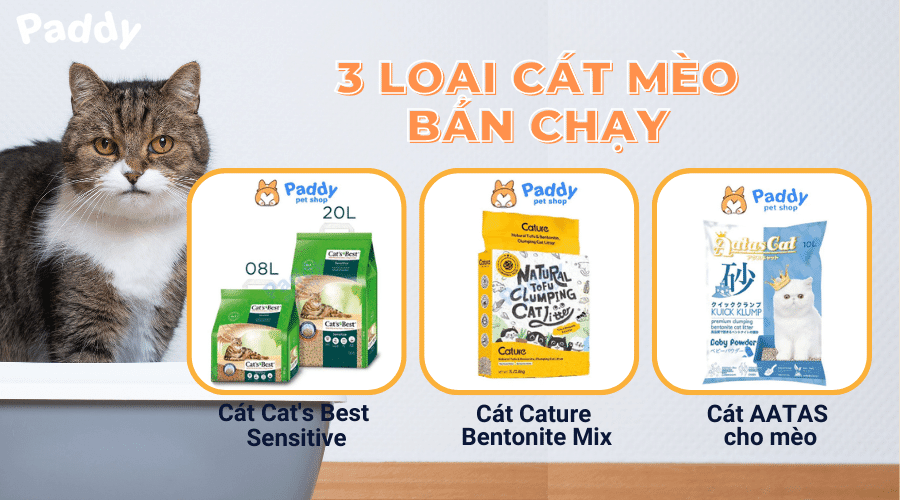 Cách chọn cát mèo khử mùi tốt, đảm bảo vệ sinh cho không gian nhà - Paddy Pet Shop