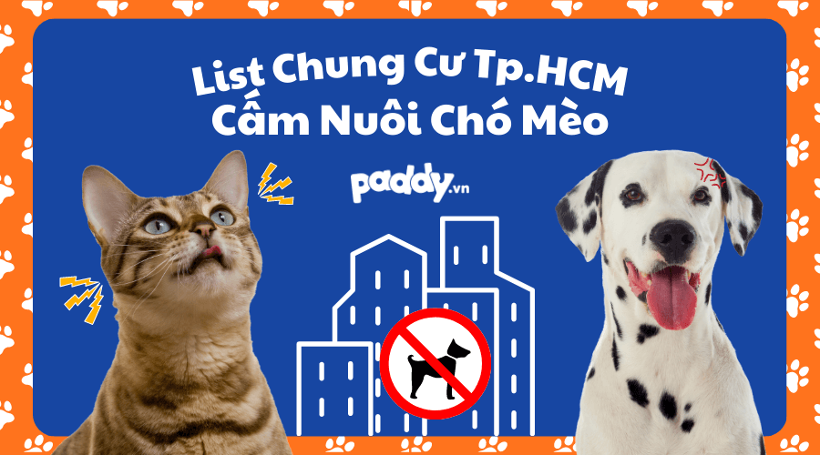 Danh Sách Các Chung Cư Cấm Nuôi Chó Mèo Tại TPHCM - Paddy Pet Shop