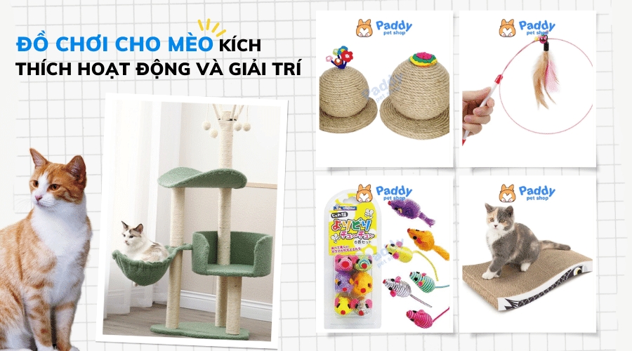 Top 5 loại đồ chơi cho mèo kích thích bé hoạt động và giảm stress - Paddy Pet Shop