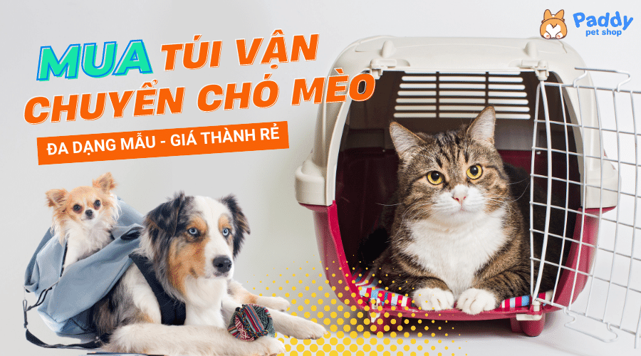 Mua đồ dùng vận chuyển chó mèo đa dạng mẫu, giá tốt - Paddy Pet Shop