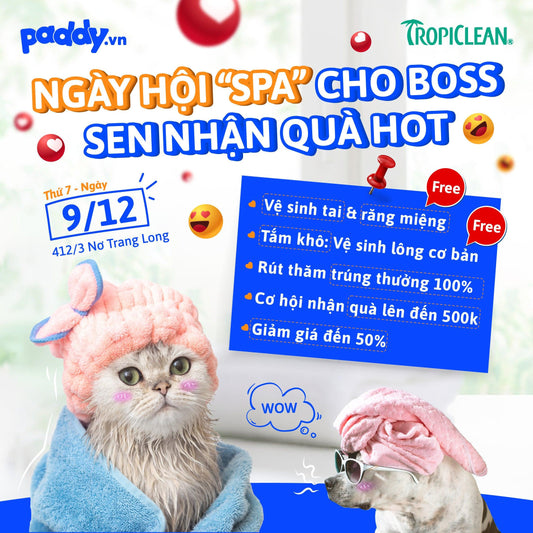 [Ngày Hội] SPA Cho Boss - Sen Nhận Quà Hot - Paddy Pet Shop