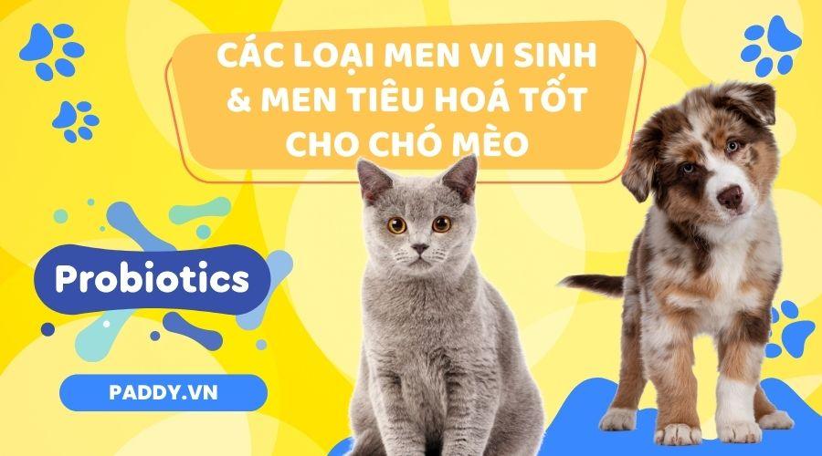 Các Loại Men Vi Sinh Và Men Tiêu Hoá Tốt Cho Chó Mèo - Paddy Pet Shop