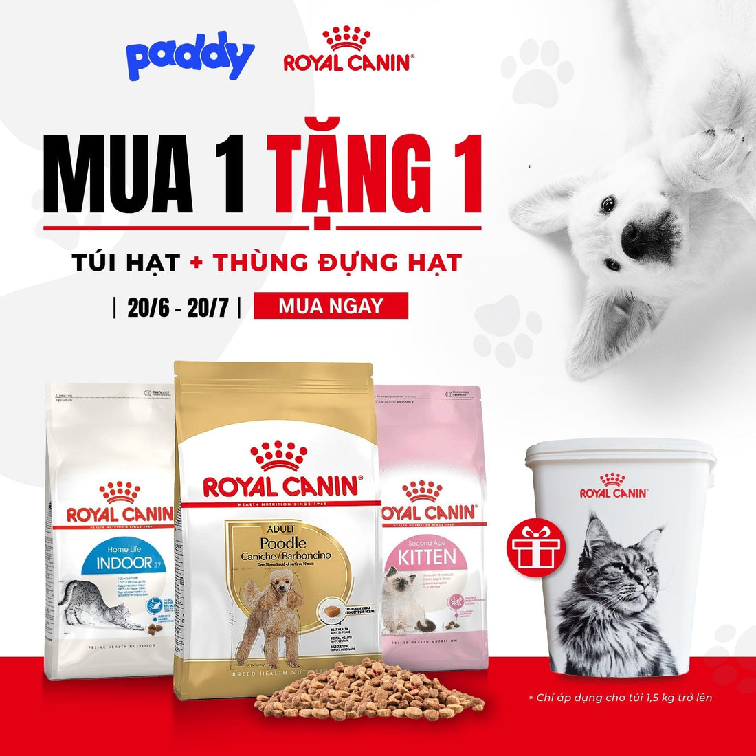 ĐỘC QUYỀN ROYAL CANIN MUA 1 TẶNG 1 - Paddy Pet Shop