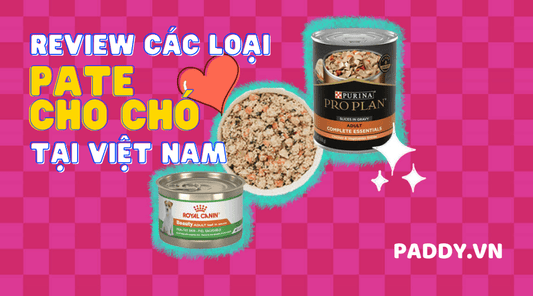 Review Những Thương Hiệu Pate Cho Chó Tại Việt Nam - Paddy Pet Shop