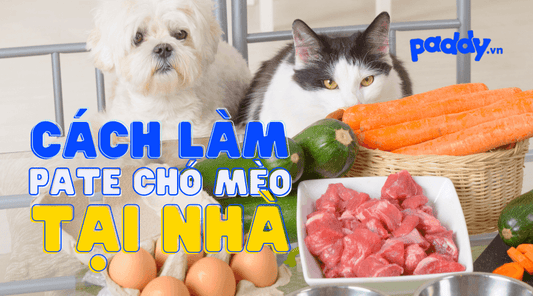 Pate Tươi Cho Chó Mèo, Cách Tự Làm Pate Tươi Tại Nhà - Paddy Pet Shop