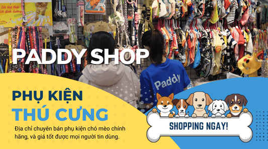 Shop phụ kiện thú cưng cho chó mèo chất lượng và giá tốt - Paddy Pet Shop