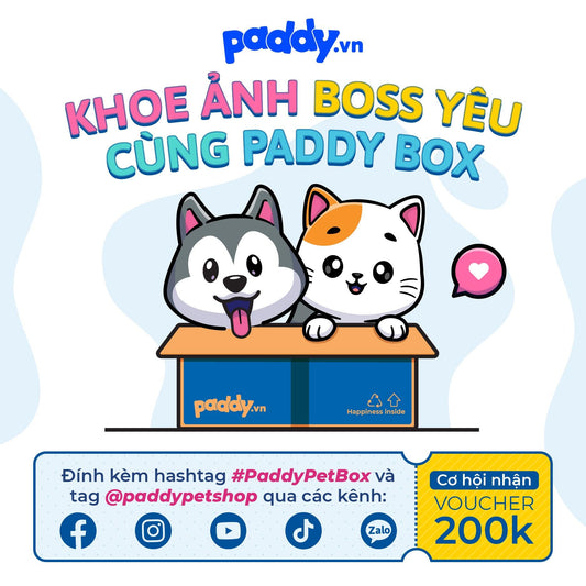 Check-in Cùng Paddy Box Có Cơ Hội Nhận Ngay Voucher 200K - Paddy Pet Shop