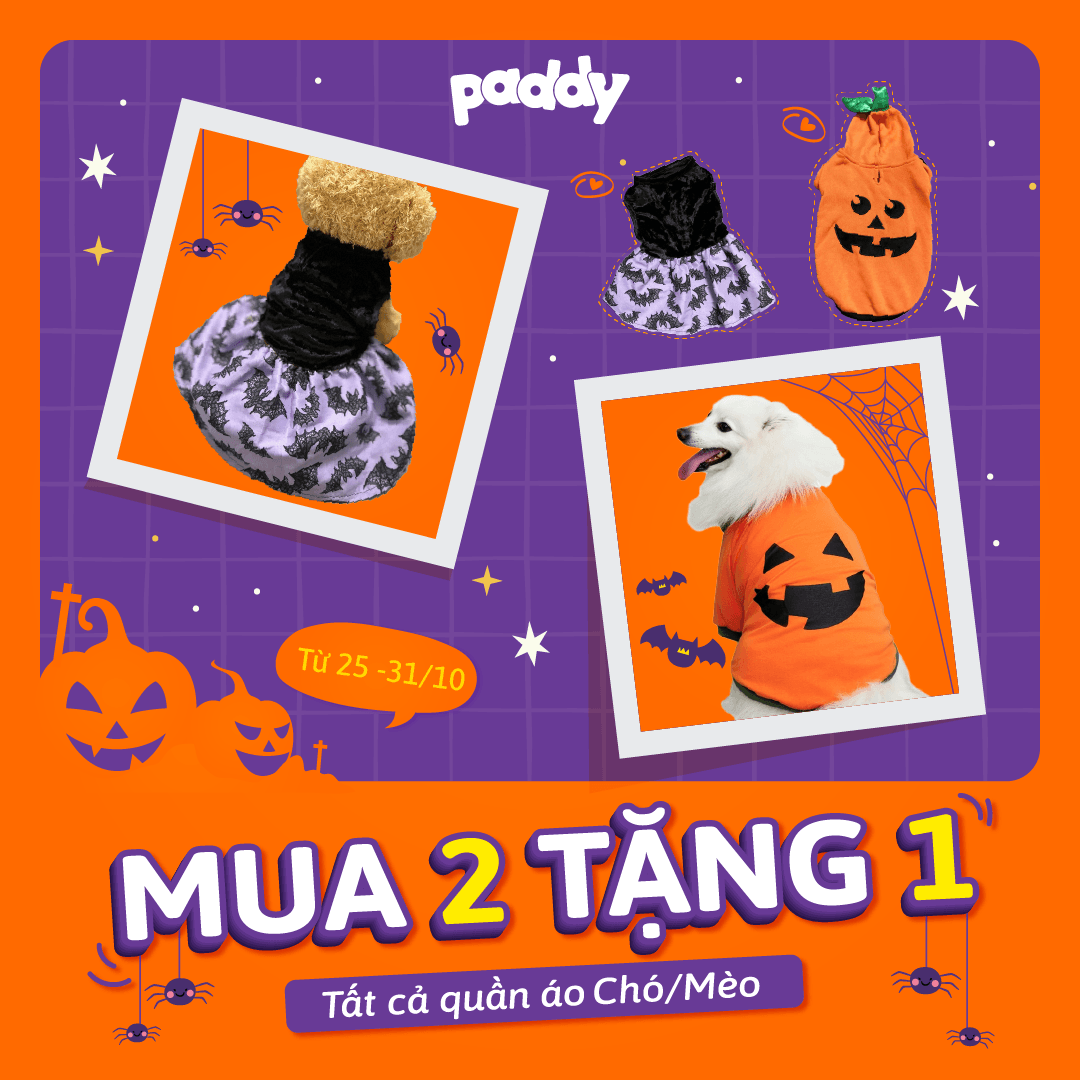 [Happy Halloween] - Mua 2 Tặng 1 Tất Cả Quần Áo Cho Chó/Mèo - Paddy Pet Shop