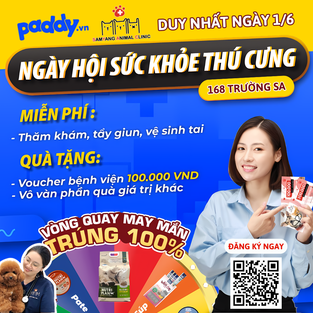 Ngày Hội Thú Cưng - Tưng Bừng Chăm Boss