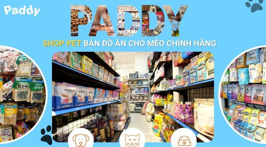 Mua thức ăn cho chó mèo tại shop pet gần đây - Paddy Pet Shop