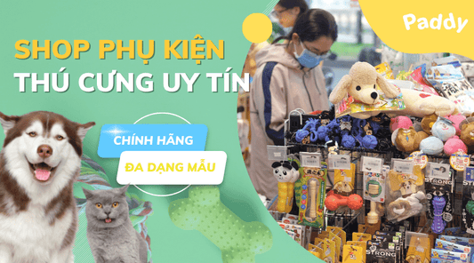 Shop phụ kiện thú cưng cho chó mèo đa dạng mẫu mã mới nhất - Paddy Pet Shop