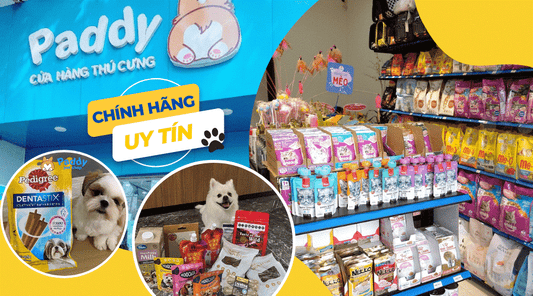 Shop thú cưng Paddy | Hàng chính hãng uy tín cho pet - Paddy Pet Shop