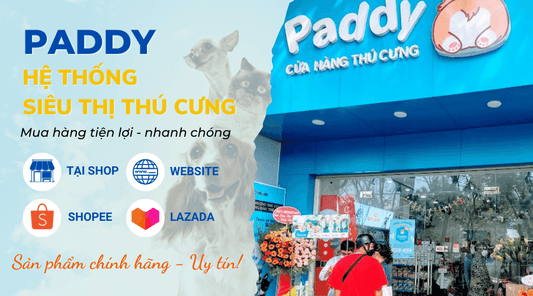 Paddy - Hệ thống siêu thị thú cưng uy tín qua Website và sàn TMĐT - Paddy Pet Shop