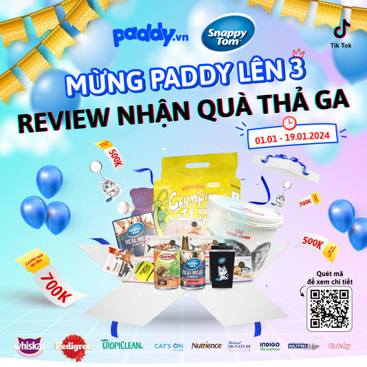 MỪNG PADDY LÊN 3 - REVIEW NHẬN QUÀ THẢ GA - Paddy Pet Shop