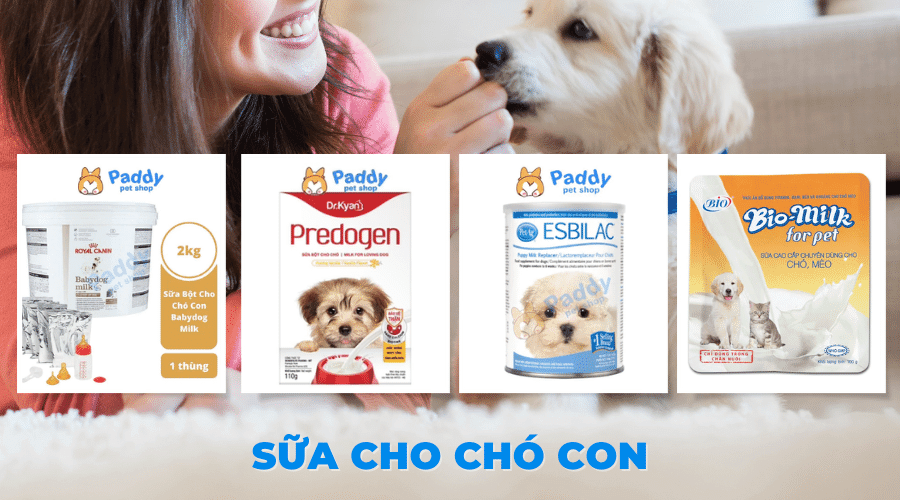 Kinh nghiệm chọn mua sữa chó con mà bạn nên biết - Paddy Pet Shop