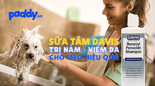 Sữa Tắm Davis Hỗ Trợ Điều Trị Nấm & Viêm Da Cho Chó Mèo - Paddy Pet Shop