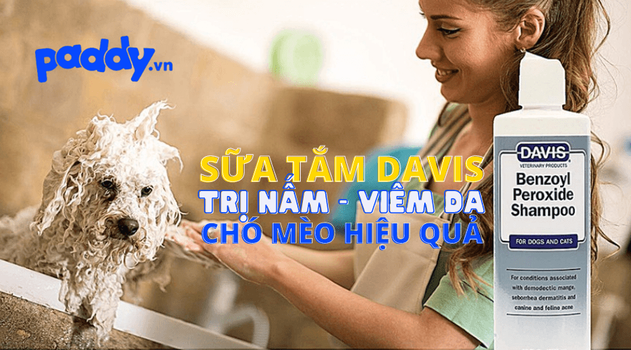 Sữa Tắm Davis Hỗ Trợ Điều Trị Nấm & Viêm Da Cho Chó Mèo - Paddy Pet Shop
