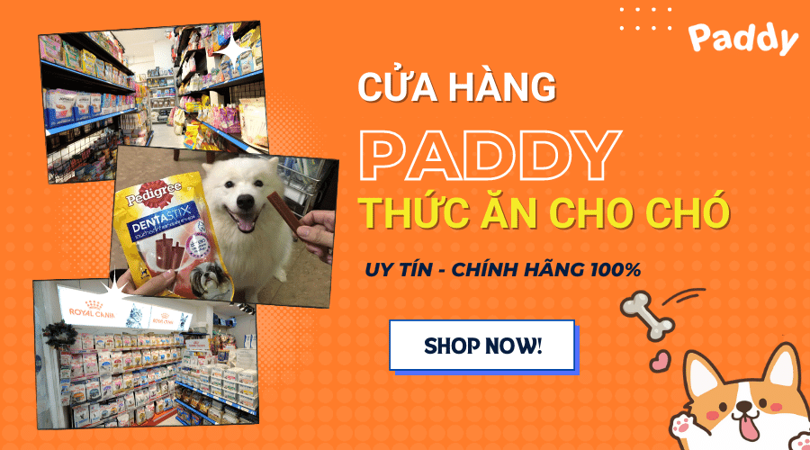 Cửa hàng thức ăn cho chó uy tín, chính hãng 100% - Paddy Pet Shop