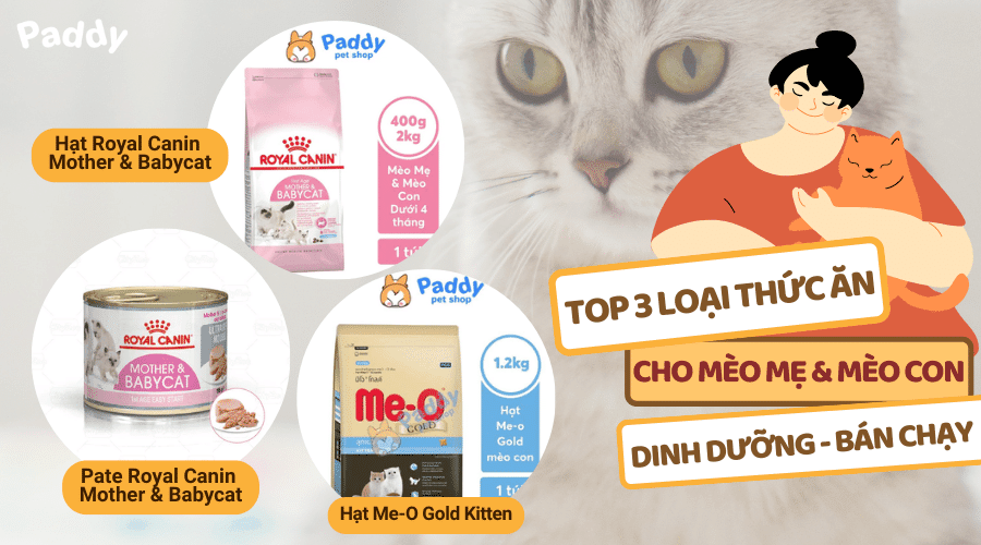 Nên dùng thức ăn cho mèo bầu, mèo mẹ và mèo con loại nào tốt? - Paddy Pet Shop