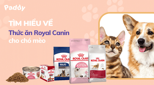 Thức ăn Royal Canin cho chó mèo chính hãng, giá tốt - Paddy Pet Shop