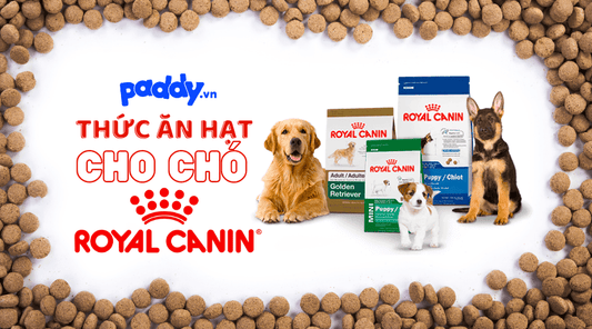 Thức Ăn Royal Canin Cho Các Giống Chó Khác Nhau - Paddy Pet Shop