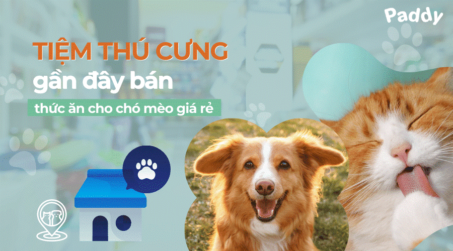 Tiệm thú cưng gần đây bán thức ăn cho chó mèo uy tín TPHCM - Paddy Pet Shop