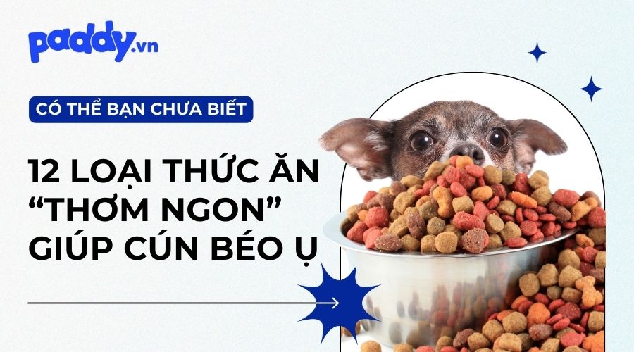 TOP 12 hãng thức ăn cho chó bổ dưỡng được yêu thích nhất - Paddy Pet Shop