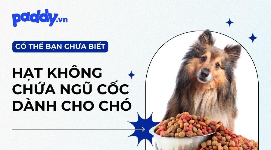Top 3 Những Thức Ăn Hạt Cho Chó Không Chứa Ngũ Cốc - Paddy Pet Shop